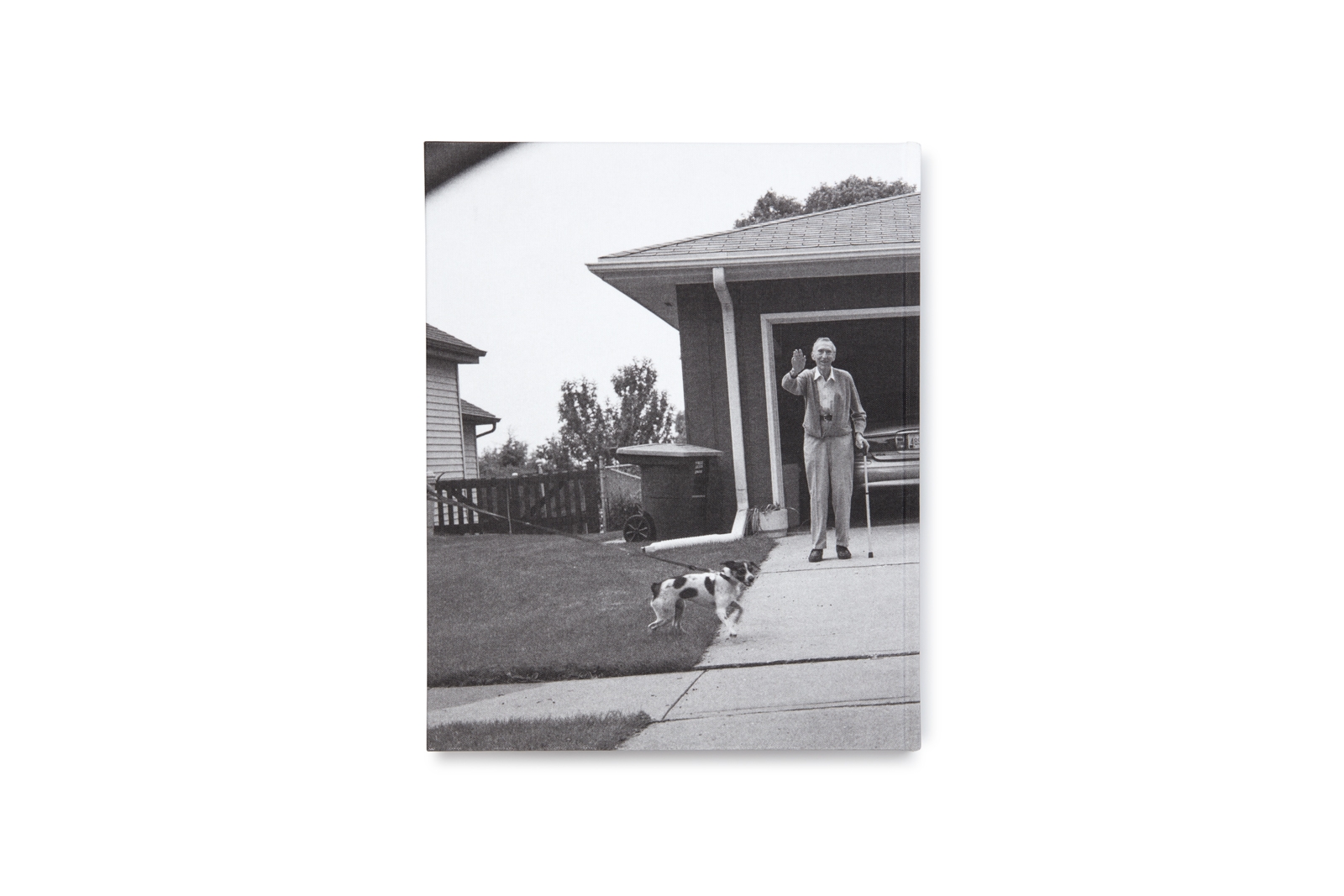 Leaving and waving — Deanna Dikeman - immagine 2