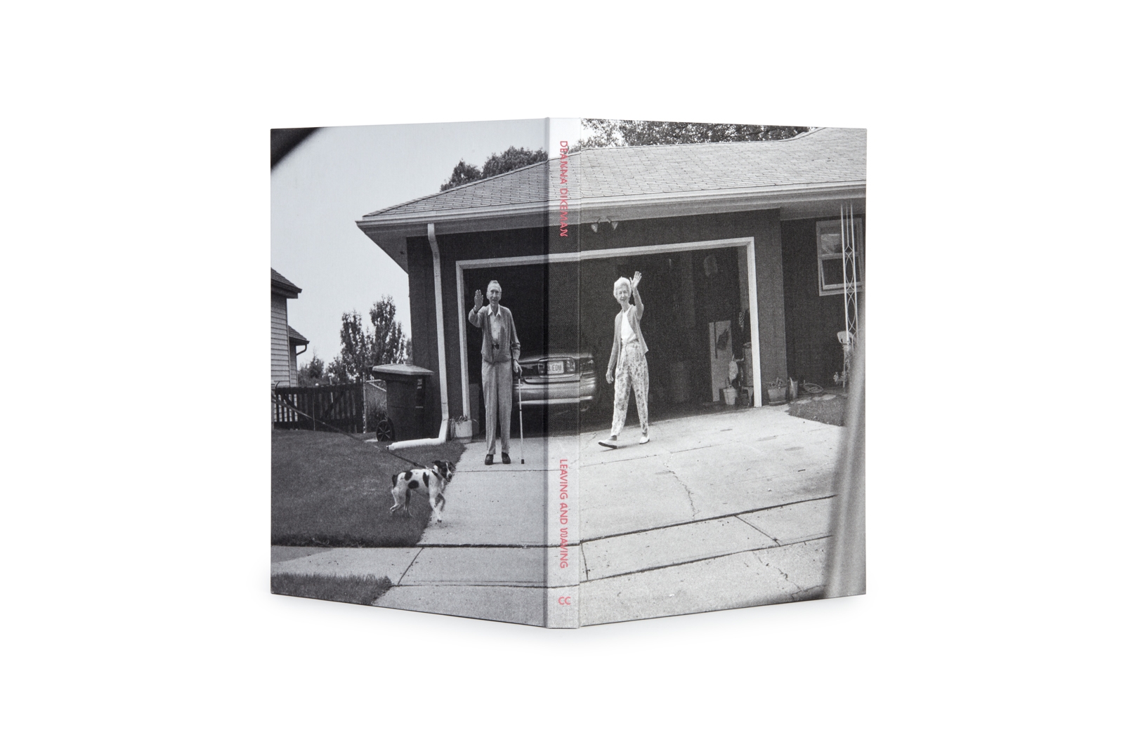 Leaving and waving — Deanna Dikeman - immagine 12