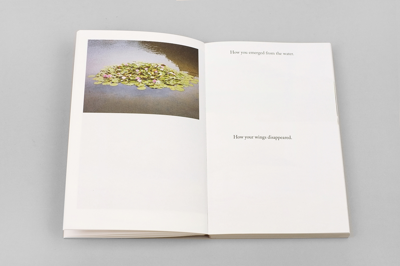 Flipping the Bird (EN version) — Jaap Scheeren - immagine 5