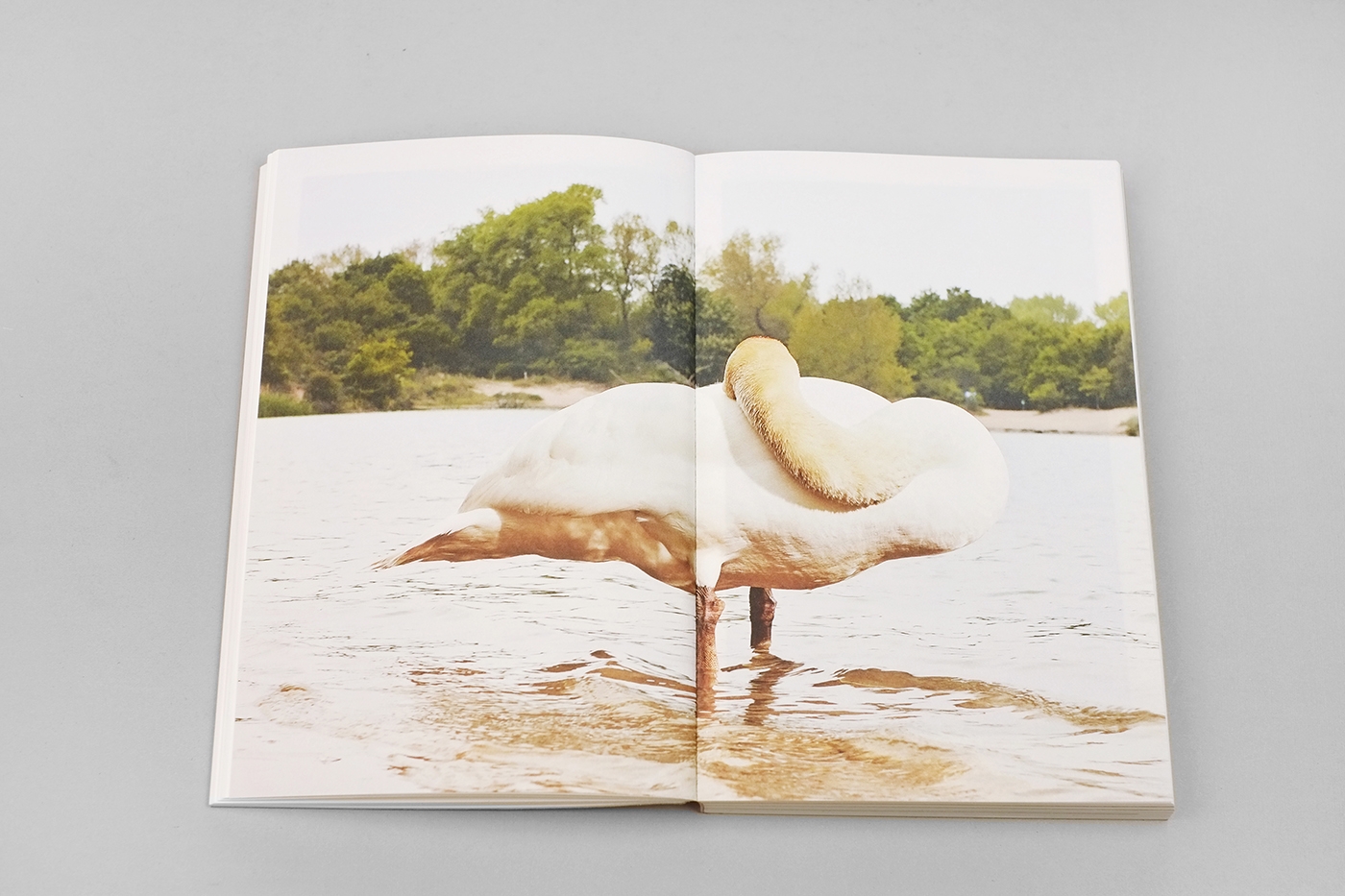 Flipping the Bird (EN version) — Jaap Scheeren - immagine 6