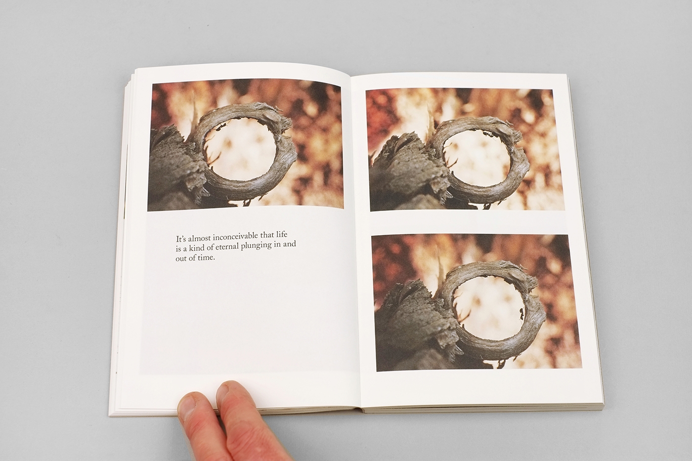Flipping the Bird (EN version) — Jaap Scheeren - immagine 8