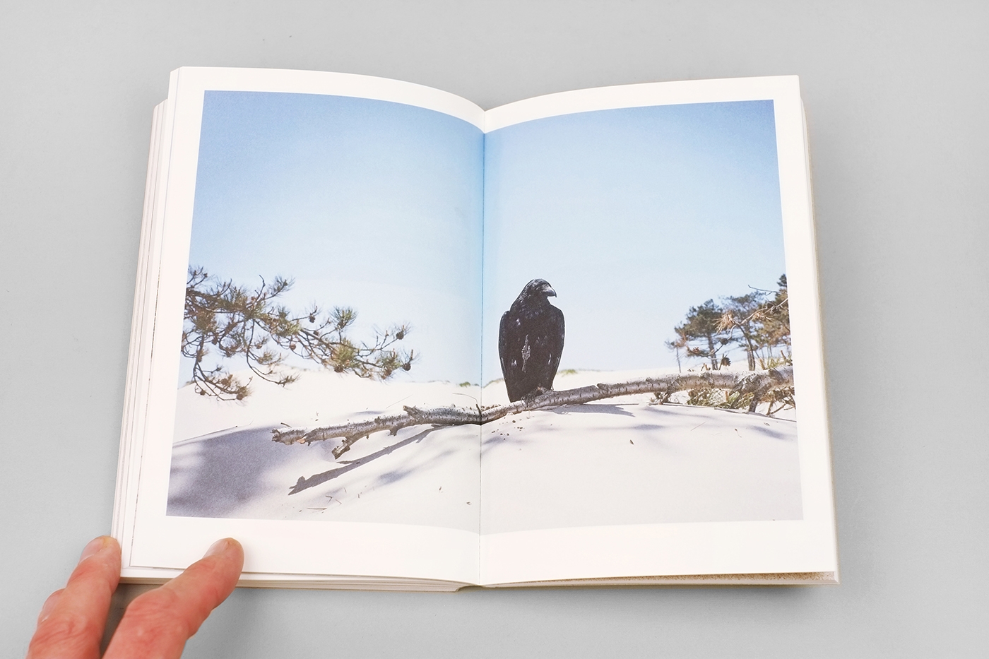 Flipping the Bird (EN version) — Jaap Scheeren - immagine 12