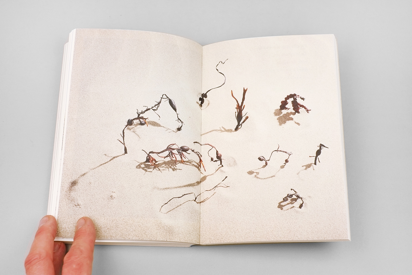 Flipping the Bird (EN version) — Jaap Scheeren - immagine 13