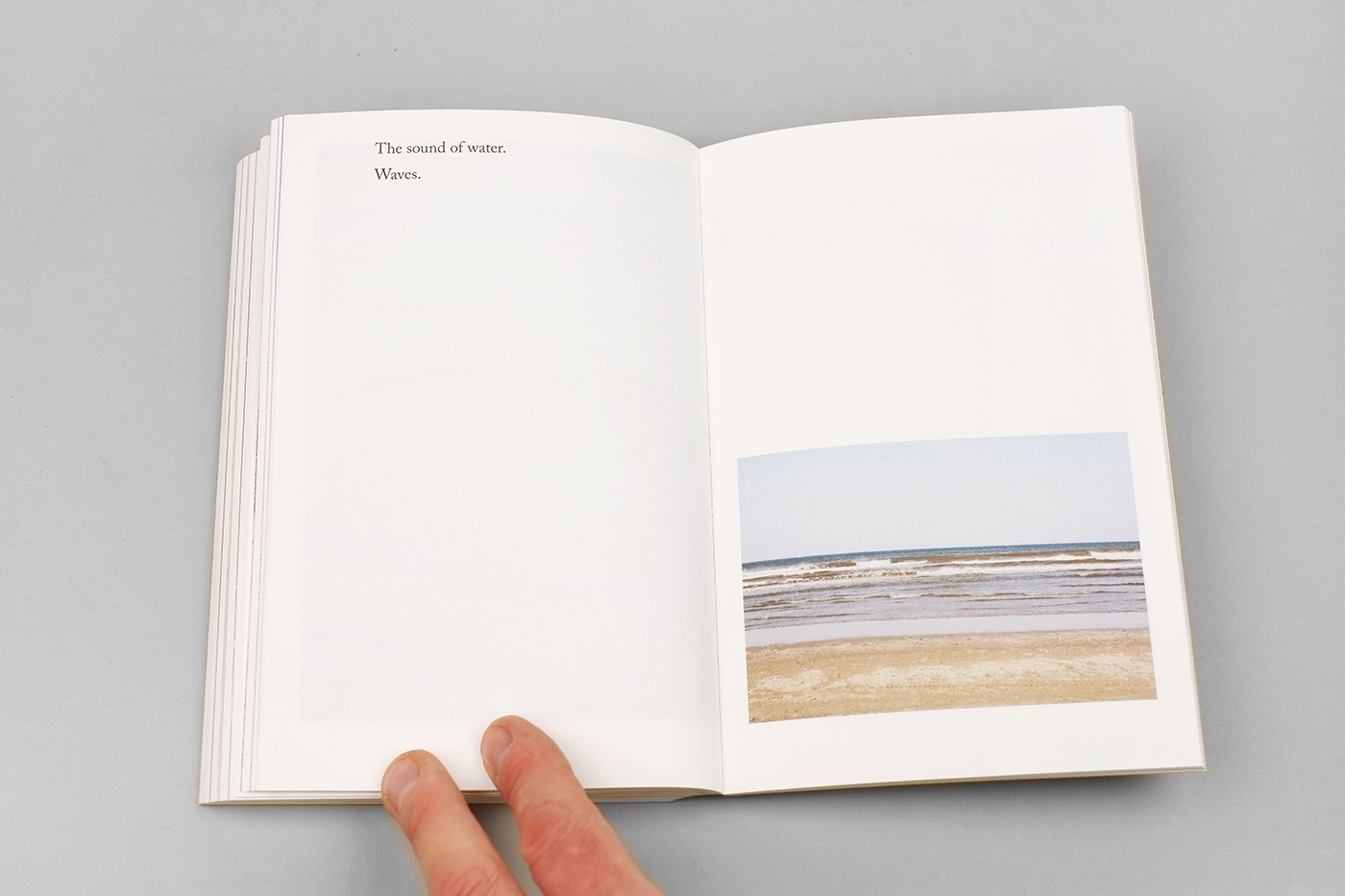 Flipping the Bird (EN version) — Jaap Scheeren - immagine 14