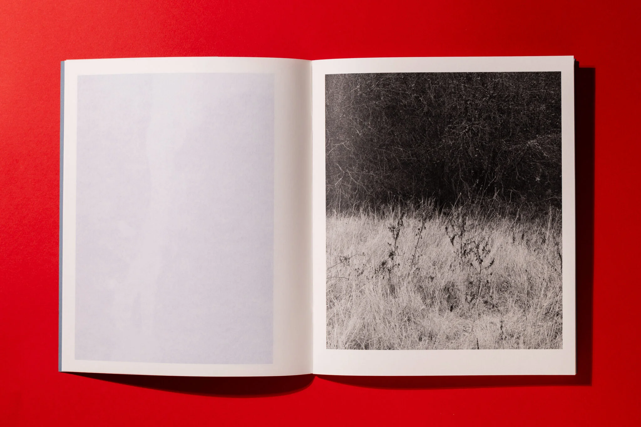Ciò che resta. Materiali per un archivio sensibile intorno alla natura del fiume — Antonio Di Cecco - immagine 3